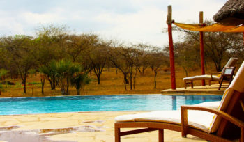 4 Days Tanzania Lodge Safari