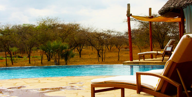 4 Days Tanzania Lodge Safari