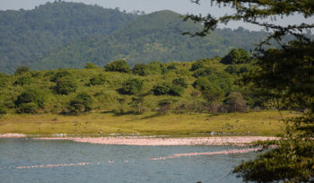 Arusha national Park
