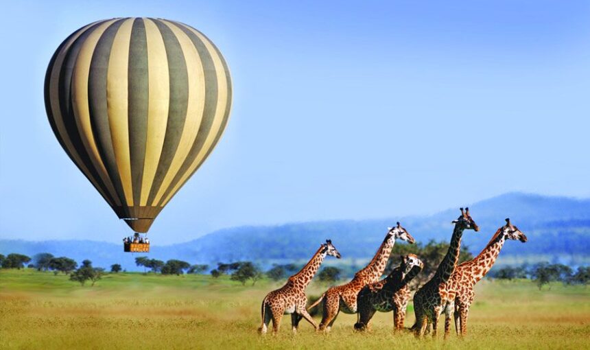 Avoid Hidden Costs on Tanzania Safaris: What You Need to Know