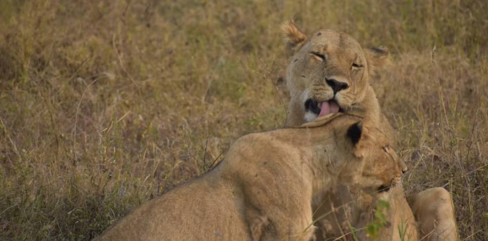 WhatsApp Image 2025-12-25 at 8.45.12 PM